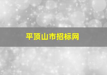 平顶山市招标网