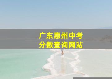 广东惠州中考分数查询网站