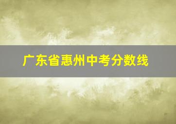 广东省惠州中考分数线