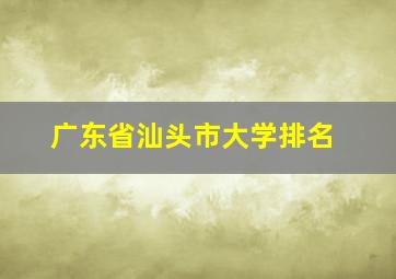 广东省汕头市大学排名