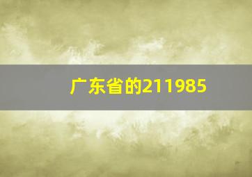 广东省的211985