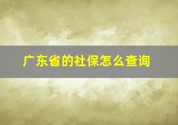 广东省的社保怎么查询