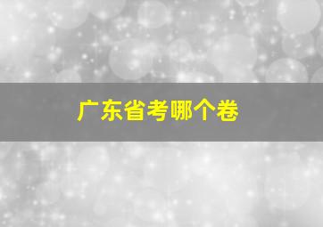 广东省考哪个卷