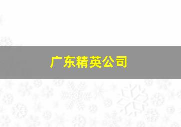 广东精英公司