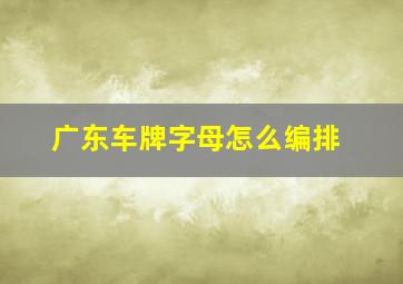 广东车牌字母怎么编排