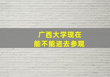 广西大学现在能不能进去参观