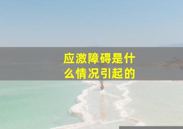 应激障碍是什么情况引起的