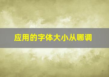 应用的字体大小从哪调