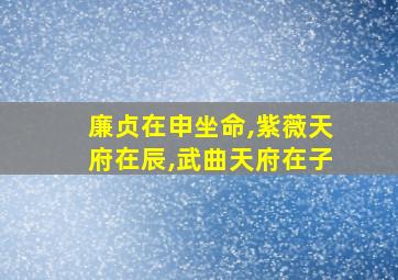 廉贞在申坐命,紫薇天府在辰,武曲天府在子