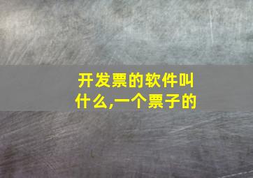 开发票的软件叫什么,一个票子的