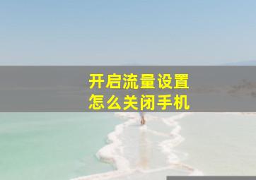 开启流量设置怎么关闭手机