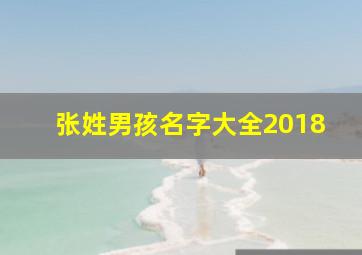 张姓男孩名字大全2018