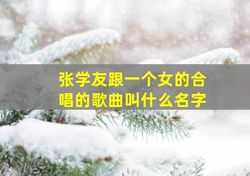 张学友跟一个女的合唱的歌曲叫什么名字