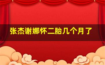 张杰谢娜怀二胎几个月了