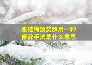 张桂梅颁奖辞用一种修辞手法是什么意思