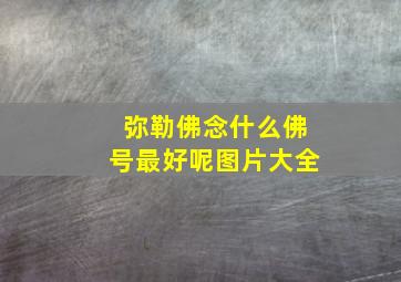 弥勒佛念什么佛号最好呢图片大全