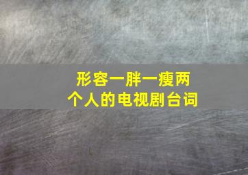 形容一胖一瘦两个人的电视剧台词