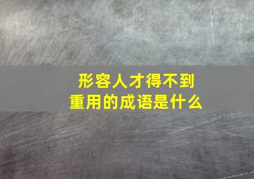 形容人才得不到重用的成语是什么