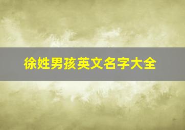 徐姓男孩英文名字大全