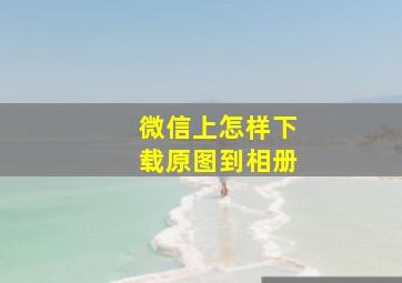 微信上怎样下载原图到相册