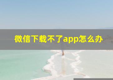 微信下载不了app怎么办