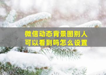 微信动态背景图别人可以看到吗怎么设置