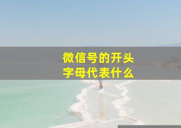 微信号的开头字母代表什么