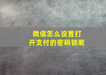 微信怎么设置打开支付的密码锁呢