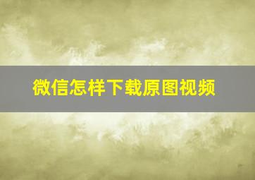 微信怎样下载原图视频