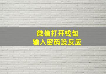 微信打开钱包输入密码没反应