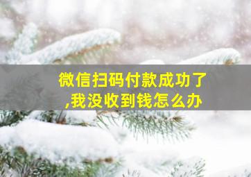 微信扫码付款成功了,我没收到钱怎么办