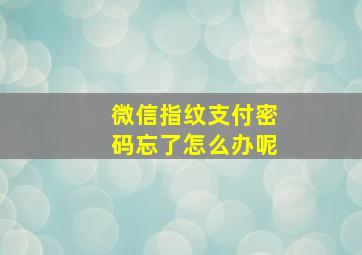 微信指纹支付密码忘了怎么办呢