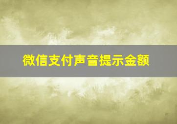 微信支付声音提示金额