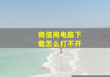 微信用电脑下载怎么打不开