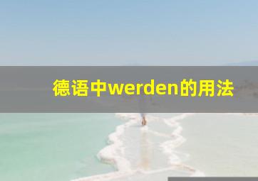 德语中werden的用法