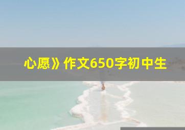 心愿》作文650字初中生