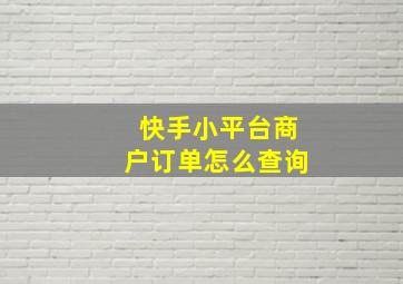 快手小平台商户订单怎么查询