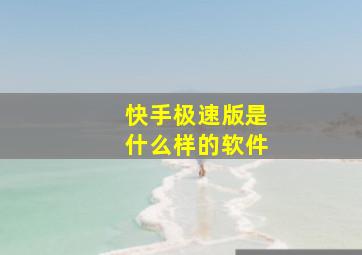 快手极速版是什么样的软件