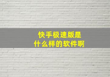 快手极速版是什么样的软件啊