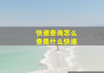 快递查询怎么查是什么快递