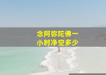 念阿弥陀佛一小时净空多少