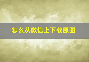 怎么从微信上下载原图