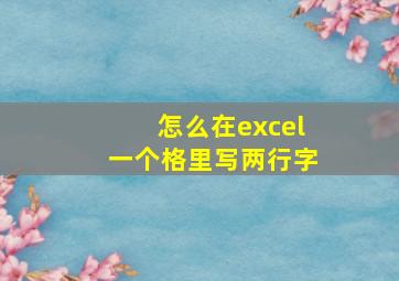 怎么在excel一个格里写两行字