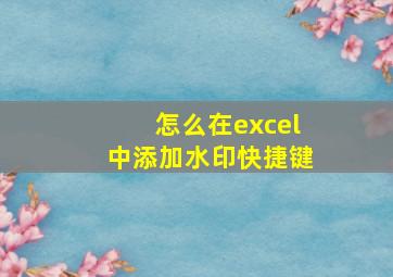 怎么在excel中添加水印快捷键