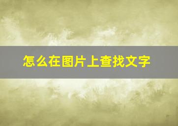 怎么在图片上查找文字