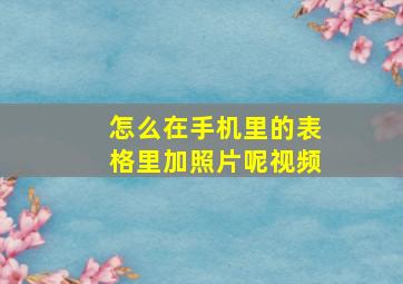 怎么在手机里的表格里加照片呢视频