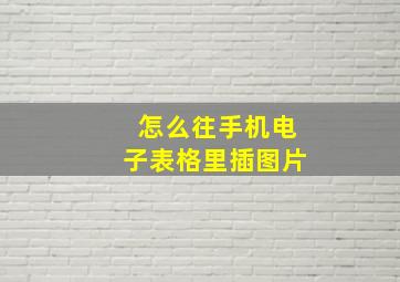 怎么往手机电子表格里插图片