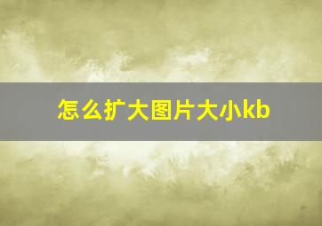 怎么扩大图片大小kb