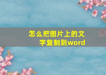 怎么把图片上的文字复制到word