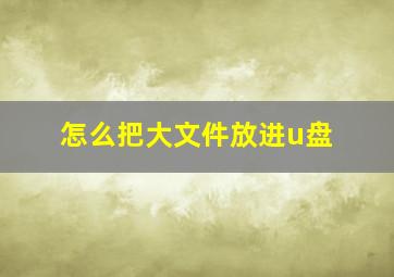 怎么把大文件放进u盘